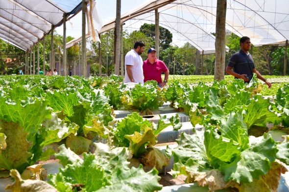Prefeitura de Cuiab | Propriedades do programa Agro da Gente recebem visita dos tcnicos da BID Pantanal
