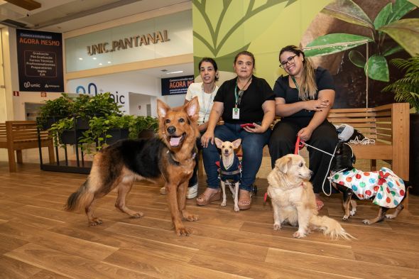 Prefeitura de Cuiab | Exposio fotogrfica de ces especiais que aguardam um lar pode ser conferida em shopping da capital; Conhea as fofuras peludas
