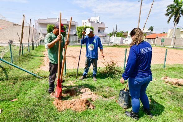 Prefeitura de Cuiab | Prefeitura de Cuiab realiza o plantio de mais 40 rvores no bairro Jardim Kennedy