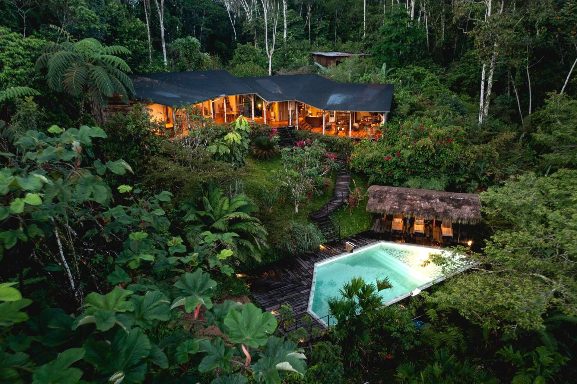 Exploración del Amazonia con Hamadryade Lodge
