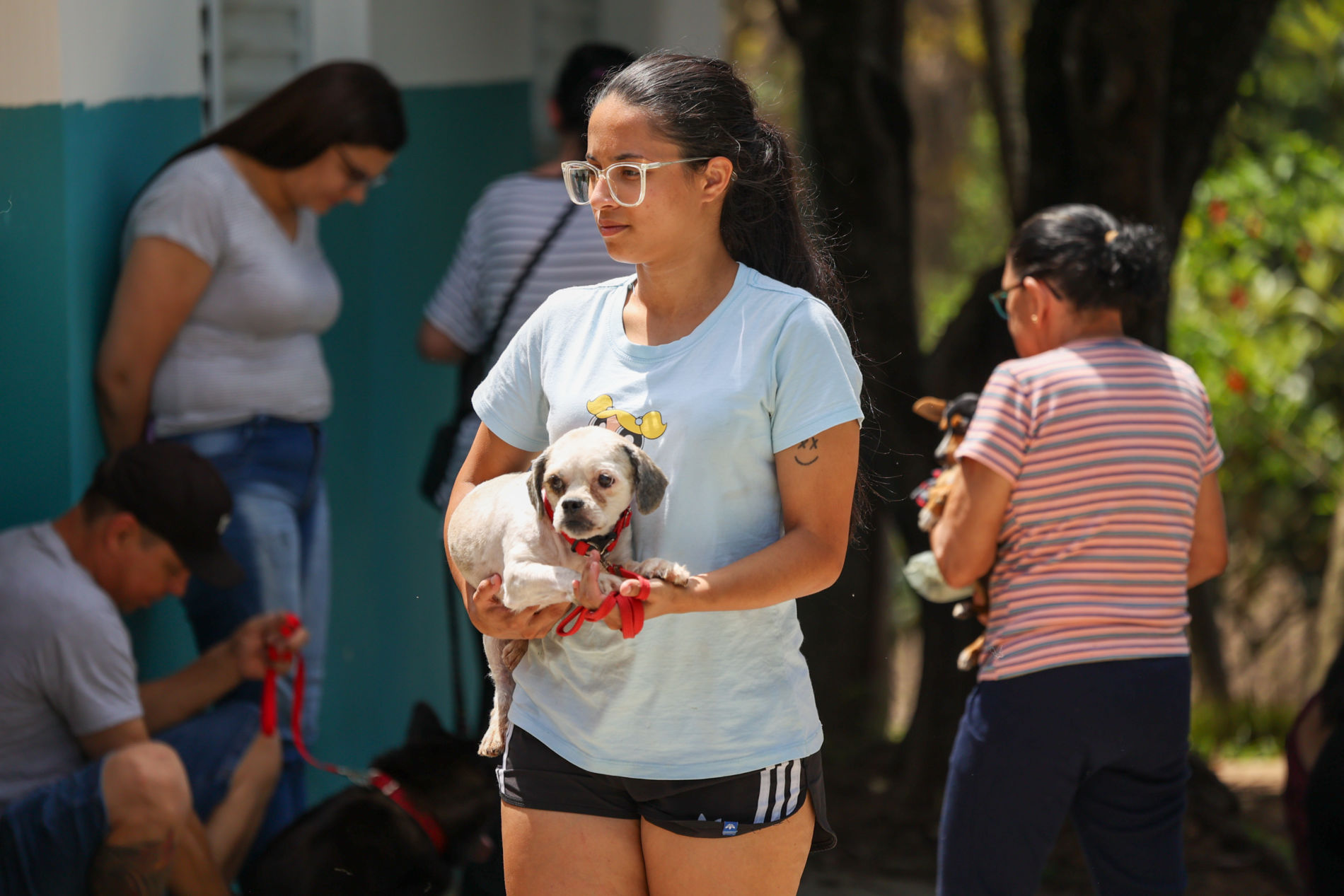 2024 começa com mutirões gratuitos de castração de cães e gatos com agendamento