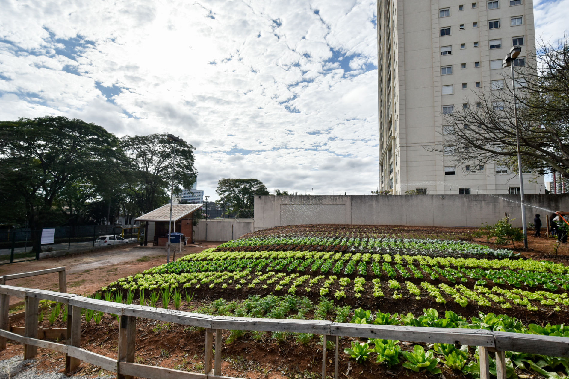 Horta Urbana do Anhangabaú recebe visita de representantes de restaurantes de Jundiaí