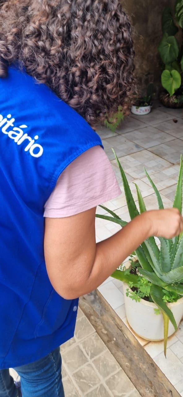 Ivoturucaia: mobilização de equipes avança ao longo do final de semana para combate à dengue