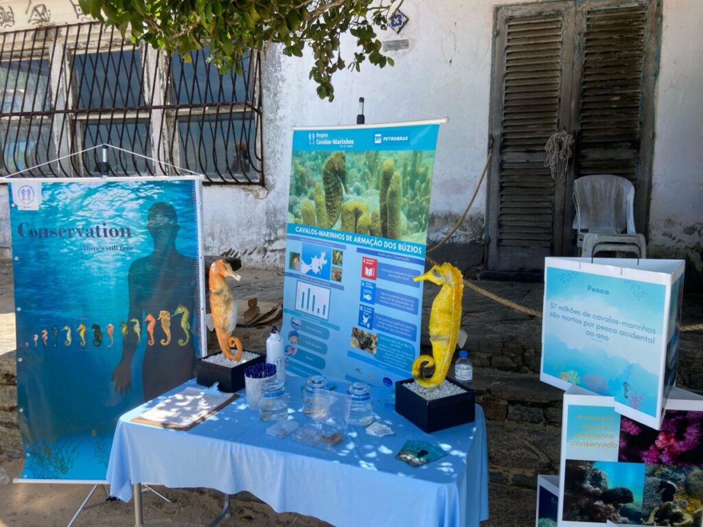Prefeitura de Búzios destaca importância dos Cavalos-Marinhos na Praia da Azeda – Prefeitura Municipal de Armação dos Búzios