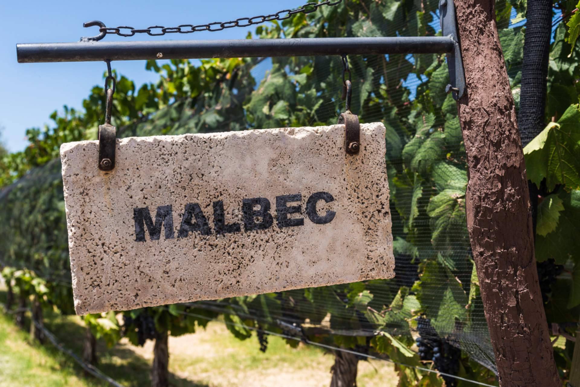 O Malbec Gramado é um dos maiores portais de notícias para os amantes de vinho